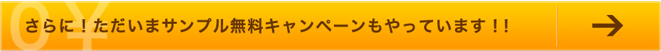 さらに！ただいまサンプルキャンペーンをやっています！